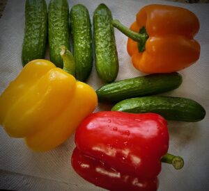 veggies for salad